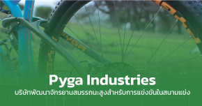 Pyga Industries
