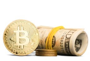You can make the payment using USDT