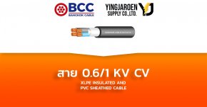 สายไฟ KV CV 0.6/1 Bangkok Cable บางกอก (XLPE INSULATED AND PVC SHEATHED CABLE)