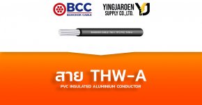 สายไฟ THW-A Bangkok Cable บางกอก (TIS 293-2541)
