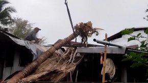เลย เกิดพายุถล่ม ต้นมะพร้าวโคล่นล้มทับหลังคาบ้านเสียหาย