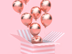 Duis gravida dolor sit amet viverra tincidunt.