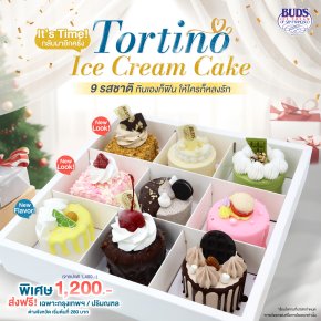 Tortino Ice Cream Cake
