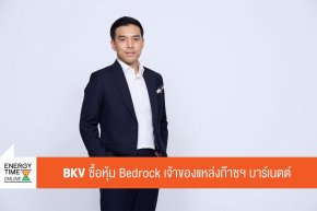บริษัท บ้านปู จำกัด (มหาชน)