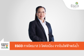 บริษัท ผลิตไฟฟ้า จำกัด (มหาชน)