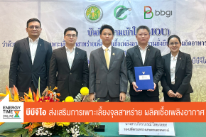 บริษัท บีบีจีไอ จำกัด (มหาชน)