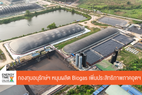 สำนักงานบริหารกองทุนเพื่อส่งเสริมการอนุรักษ์พลังงาน