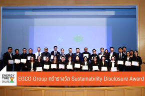 บริษัท ผลิตไฟฟ้า จำกัด (มหาชน)