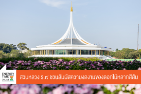 การไฟฟ้าฝ่ายผลิตแห่งประเทศไทย