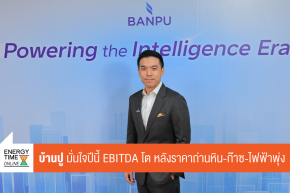 บริษัท บ้านปู จำกัด (มหาชน)