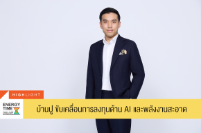 บริษัท บ้านปู จำกัด (มหาชน)