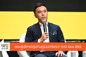 บริษัท บ้านปู จำกัด (มหาชน)