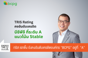 บริษัท บีซีพีจี จำกัด (มหาชน)