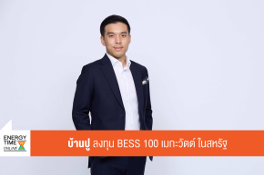 บริษัท บ้านปู จำกัด (มหาชน)