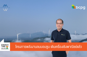 บริษัท บีซีพีจี จำกัด (มหาชน)