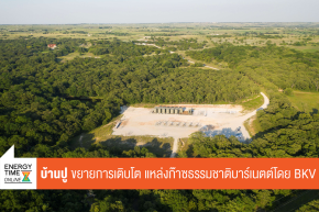 บริษัท บ้านปู จำกัด (มหาชน)