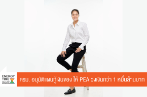 การไฟฟ้าส่วนภูมิภาค