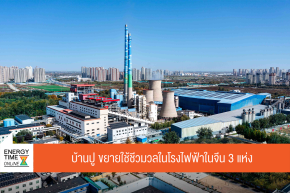 บริษัท บ้านปู จำกัด (มหาชน)