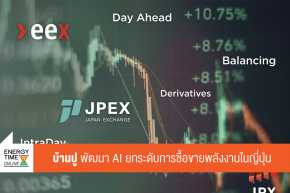 บริษัท บ้านปู จำกัด (มหาชน)