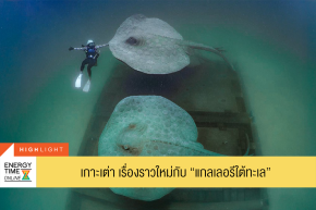 ปตท. สำรวจและผลิตปิโตรเลียม จำกัด (มหาชน)
