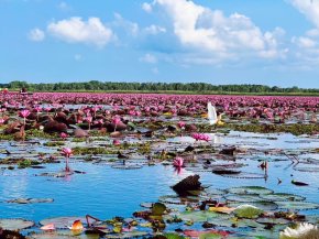 พื้นที่ทะเลน้อย พัทลุง คว้ารางวัลนานาชาติท่องเที่ยวยั่งยืน  Skål International Sustainable Tourism Awards 2024