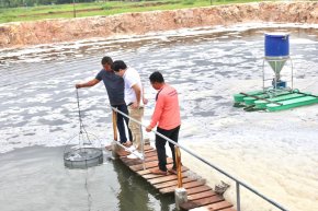 TFM ส่งทีมสนับสนุนเกษตรกร ช่วยลดต้นทุน เพิ่มผลผลิต ยกระดับคุณภาพสัตว์น้ำให้ได้มาตรฐานตลาด สร้างการเติบโตยั่งยืนไปด้วยกัน  