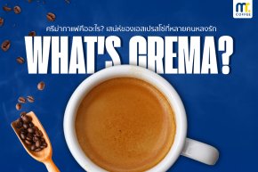ครีม่ากาแฟคืออะไร? เสน่ห์ของเอสเปรสโซ่ที่หลายคนหลงรัก