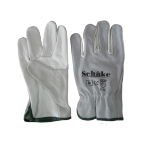 Nam sed elit sagittis