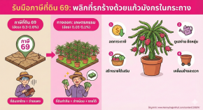รับมือภาษีที่ดิน 69 พลิกที่รกร้าง ด้วยแก้วมังกรในกระถาง!