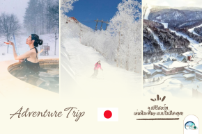 An Adventure to 4 Ski Resorts in Hokkaido, Japan: Enjoy the Snow Without a Hitch!