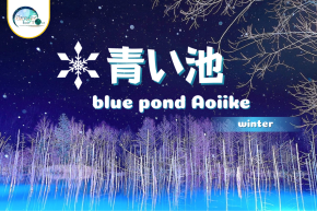 Aoiike Winter season ความเงียบงามของบ่อน้ำสีฟ้าแห่งฮอกไกโด