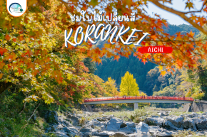 เที่ยวญี่ปุ่นฤดูใบไม้ผลิปีนี้มาชมใบไม้เปลี่ยนสีที่ Korankei
