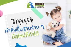ฝึกลูกสุนัข ด้วยคำสั่งพื้นฐานง่าย ๆ ที่เจ้าของมือใหม่ก็ทำได้