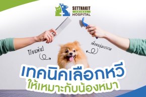 เทคนิคเลือกหวีให้เหมาะกับน้องหมา เพื่อขนนุ่มเงางาม ไร้ขนพัน!