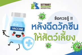 ข้อควรรู้หลังฉีดวัคซีนให้สัตว์เลี้ยง