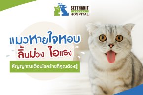 แมวหายใจหอบ ลิ้นม่วง ไอแรง: สัญญาณเตือนโรคร้ายที่คุณต้องรู้