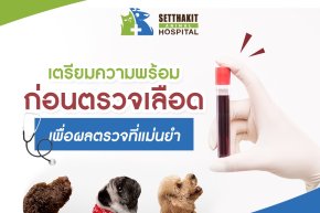เตรียมความพร้อมก่อนตรวจเลือด เพื่อผลตรวจที่แม่นยำ