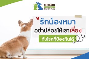 รักน้องหมา อย่าปล่อยให้เขาเสี่ยงกับโรคที่ป้องกันได้