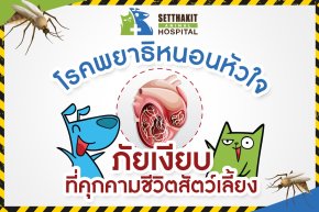 โรคพยาธิหนอนหัวใจ: ภัยเงียบที่คุกคามชีวิตสัตว์เลี้ยง