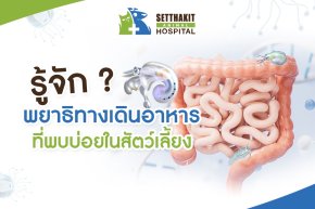 รู้จัก พยาธิทางเดินอาหาร ที่พบบ่อยในสัตว์เลี้ยง