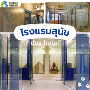 โรงแรมสุนัข  ( Dog hotel) - โรงพยาบาลสัตว์เศรษฐกิจสัตวแพทย์ 