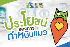 ประโยชน์ของการทำหมันแมว: ทางเลือกที่ดีที่สุดเพื่อสุขภาพและพฤติกรรมที่ดีของแมว