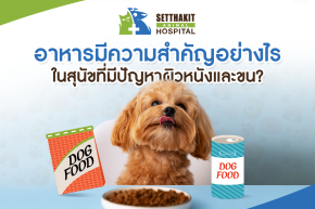 อาหารมีความสำคัญอย่างไรในสุนัขที่มีปัญหาผิวหนังและขน?