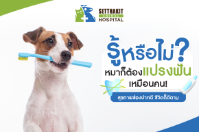 รู้หรือไม่? น้องหมาก็ต้องแปรงฟันเหมือนคน! สุขภาพช่องปากดี ชีวิตก็ดีตาม
