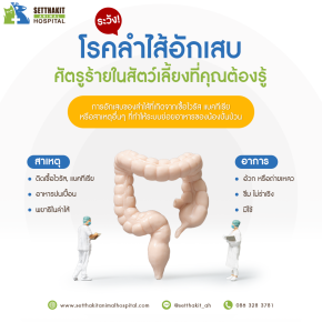 ระวัง! "โรคลำไส้อักเสบ" ศัตรูร้ายในสัตว์เลี้ยงที่คุณต้องรู้!