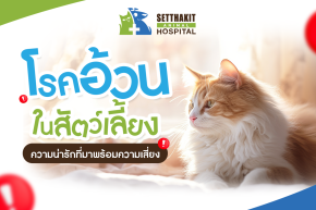 โรคอ้วนในสัตว์เลี้ยง: ความน่ารักที่มาพร้อมความเสี่ยง
