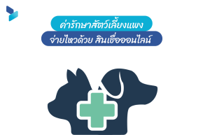 ค่ารักษาสัตว์เลี้ยงแพง จ่ายไหวด้วย สินเชื่อออนไลน์ 