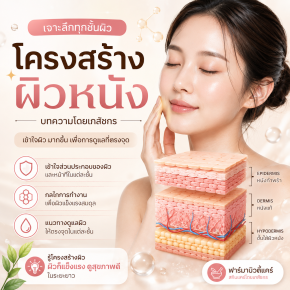 โครงสร้างผิวหนัง บทความโดยเภสัชกร