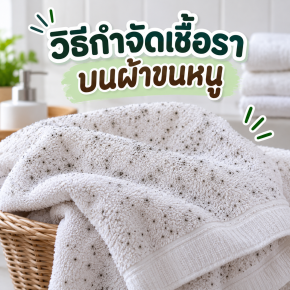 ผ้าขนหนูขึ้นรา ลองมาครบทุกวิธี ไม่ได้ผล แล้วก็เจอวิธีนี้โดยบังเอิญ ก่อนทำตาม อ่านก่อนนะ