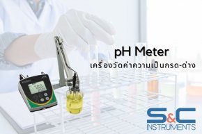 pH Meter